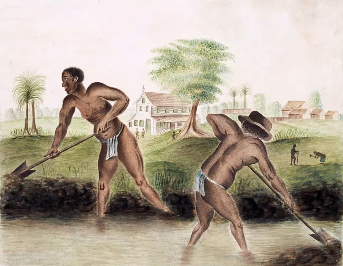 Esclaves creusant un canal en Guyane, fin XVIIIe siècle